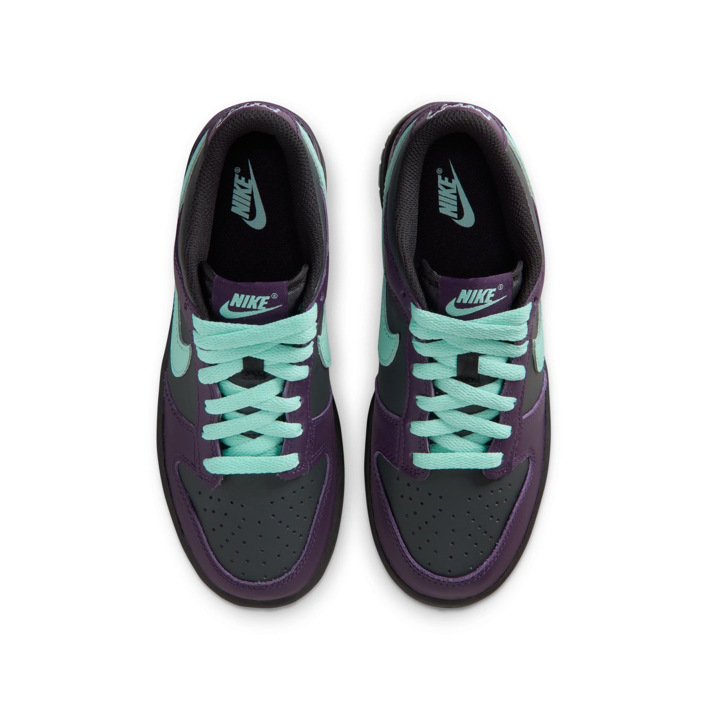 Nike Dunk Low FB9109-013