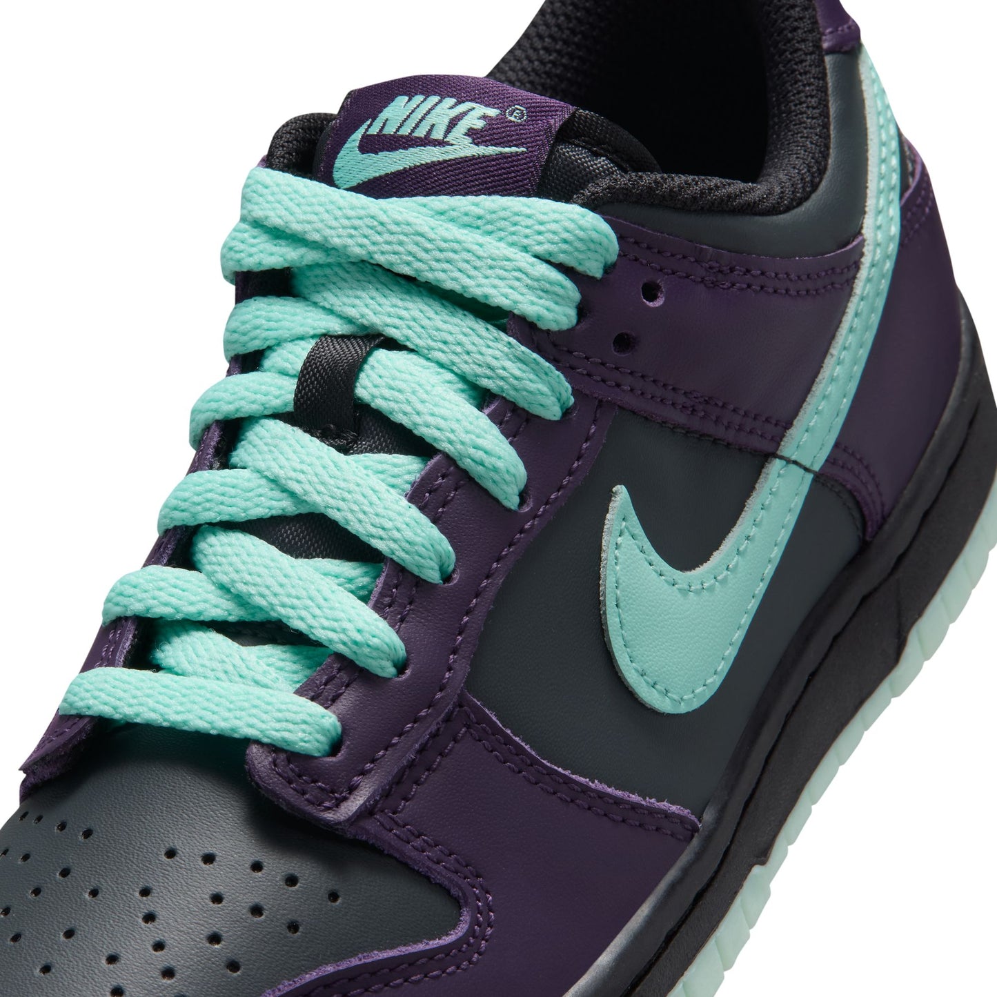 Nike Dunk Low FB9109-013