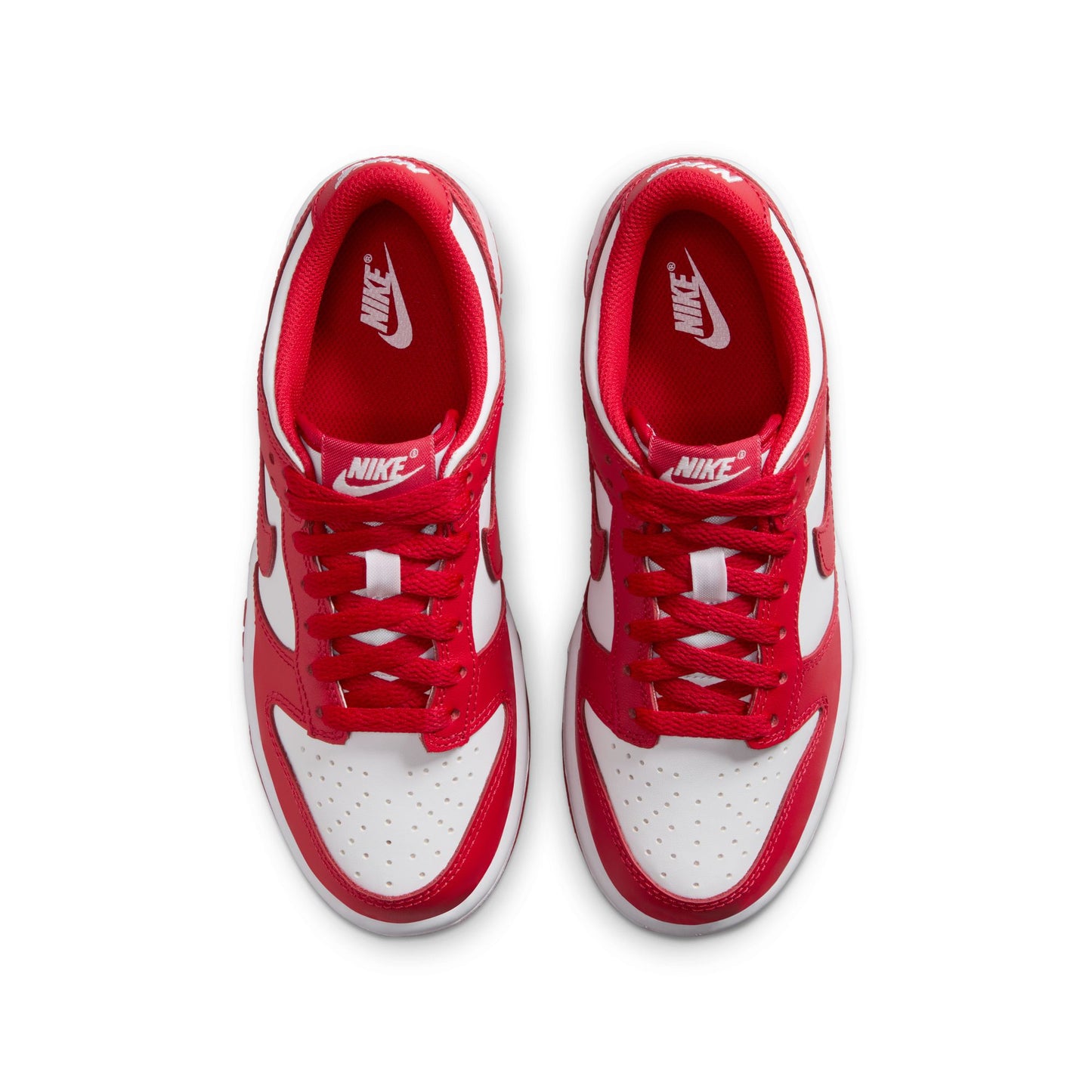 Nike Dunk Low FB9109-119