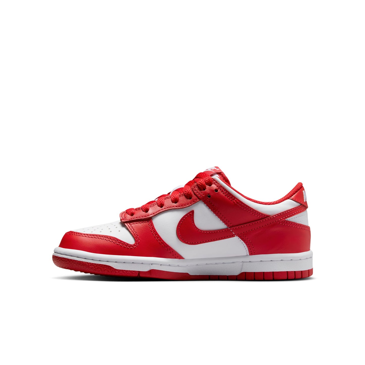 Nike Dunk Low FB9109-119