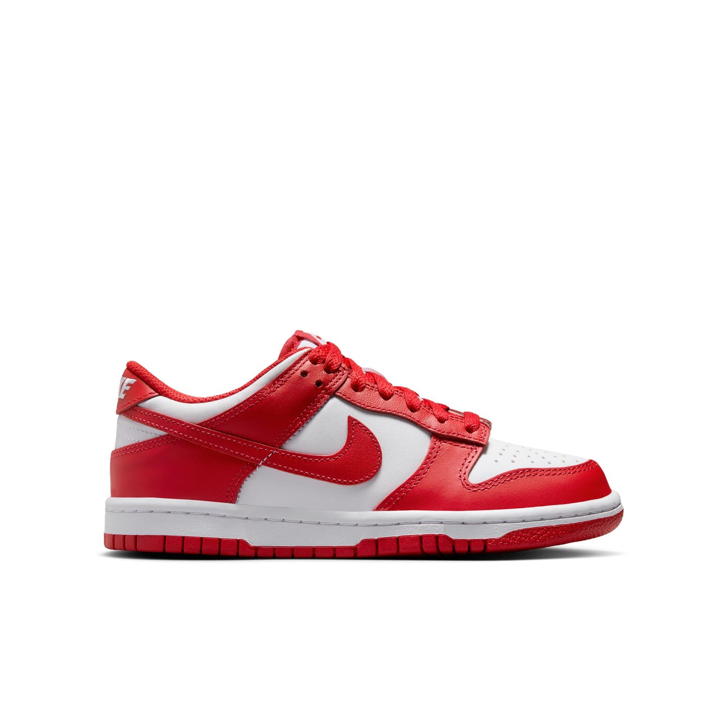 Nike Dunk Low FB9109-119