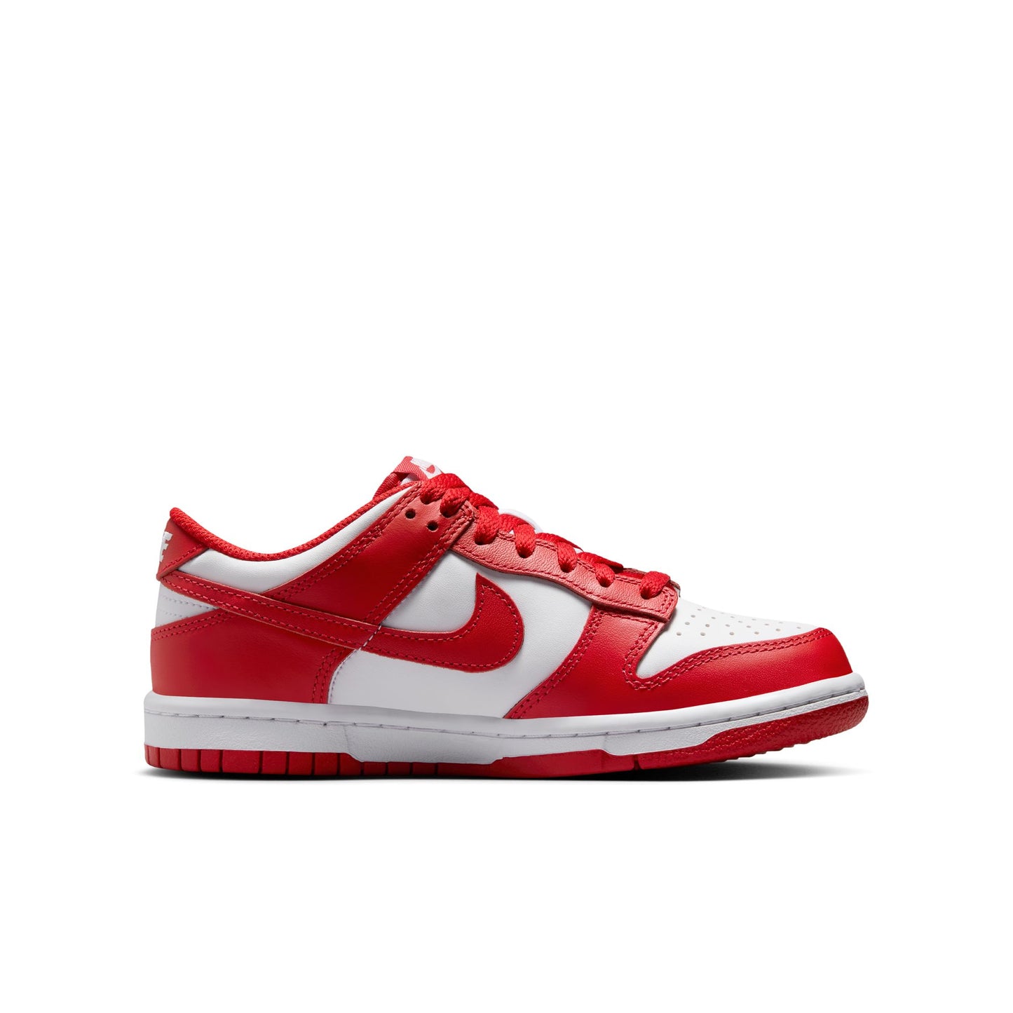 Nike Dunk Low FB9109-119