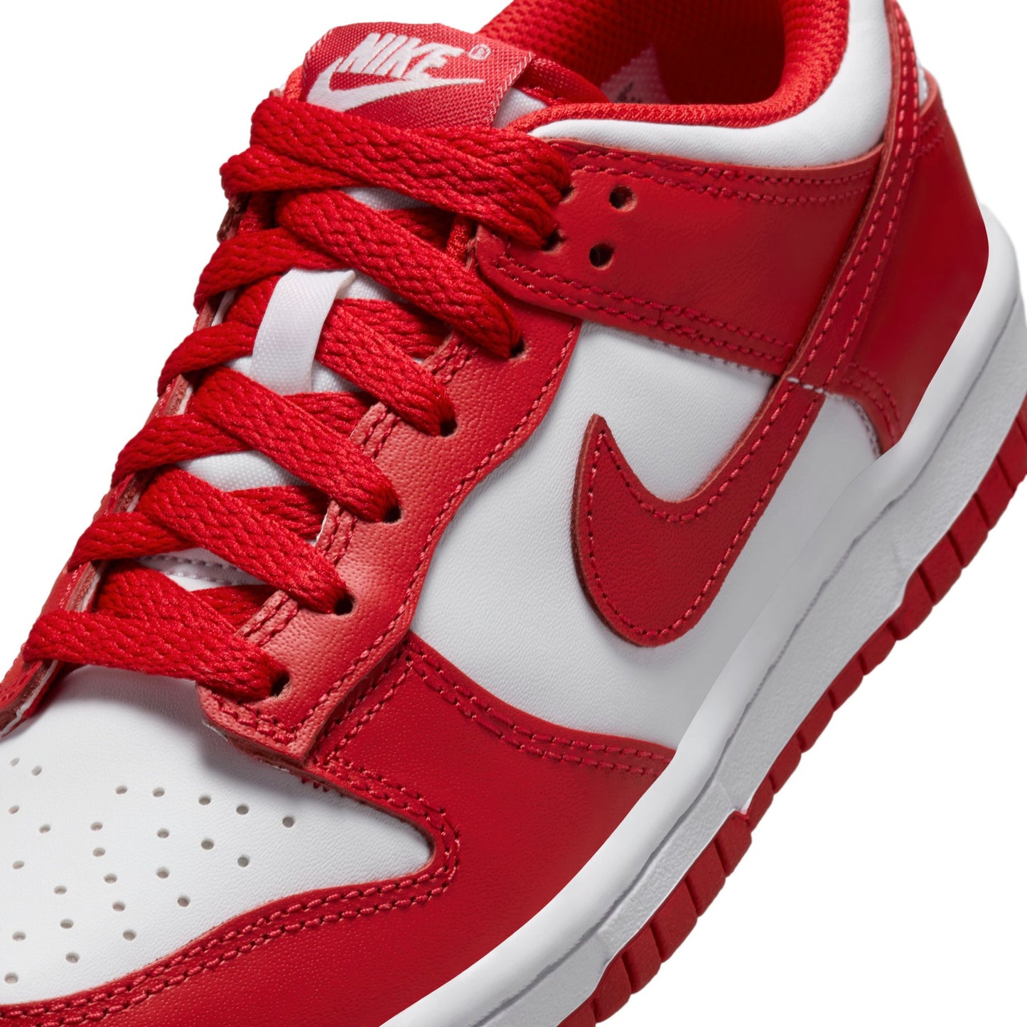 Nike Dunk Low FB9109-119