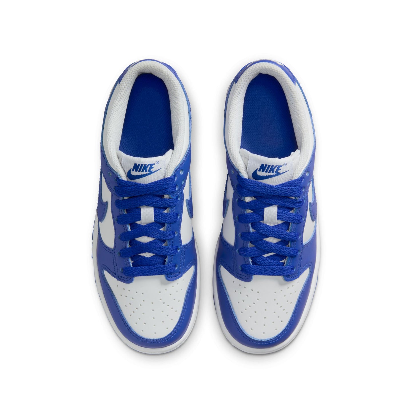 NIKE DUNK LOW FB9109-131