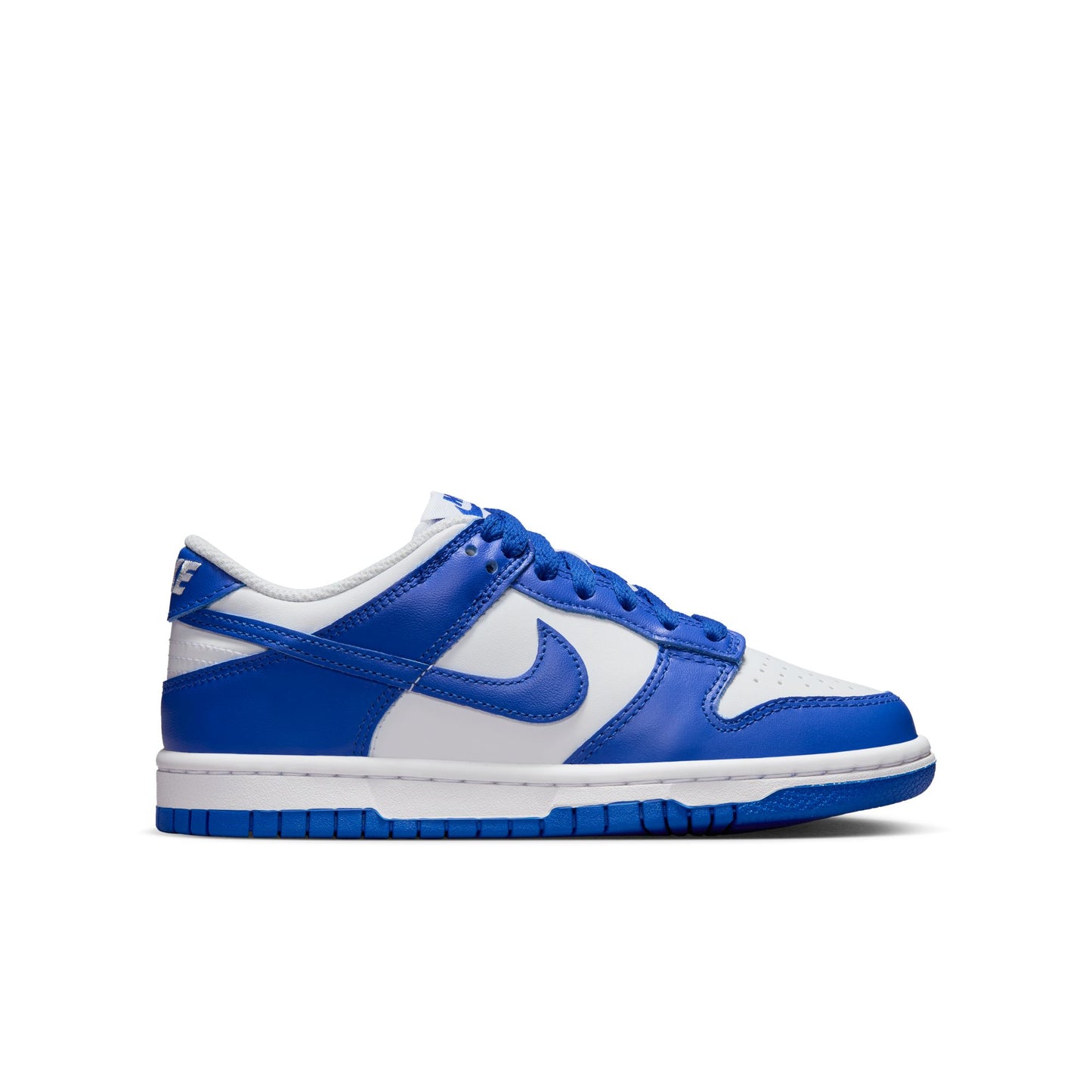 NIKE DUNK LOW FB9109-131