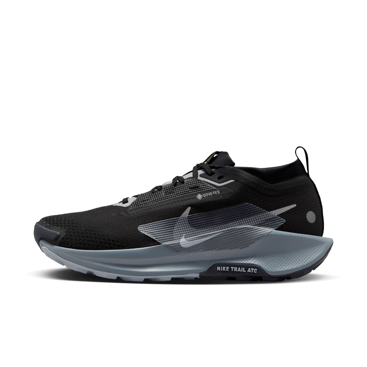 Nike Pegasus Trail 5 GORE-TEX FQ0908-001