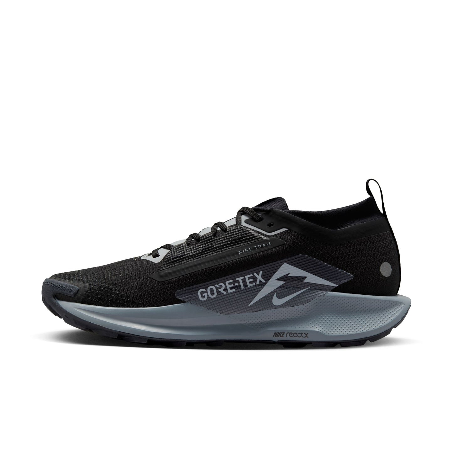Nike Pegasus Trail 5 GORE-TEX FQ0908-001