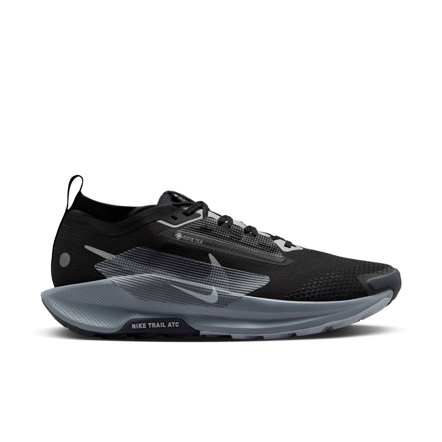 Nike Pegasus Trail 5 GORE-TEX FQ0908-001