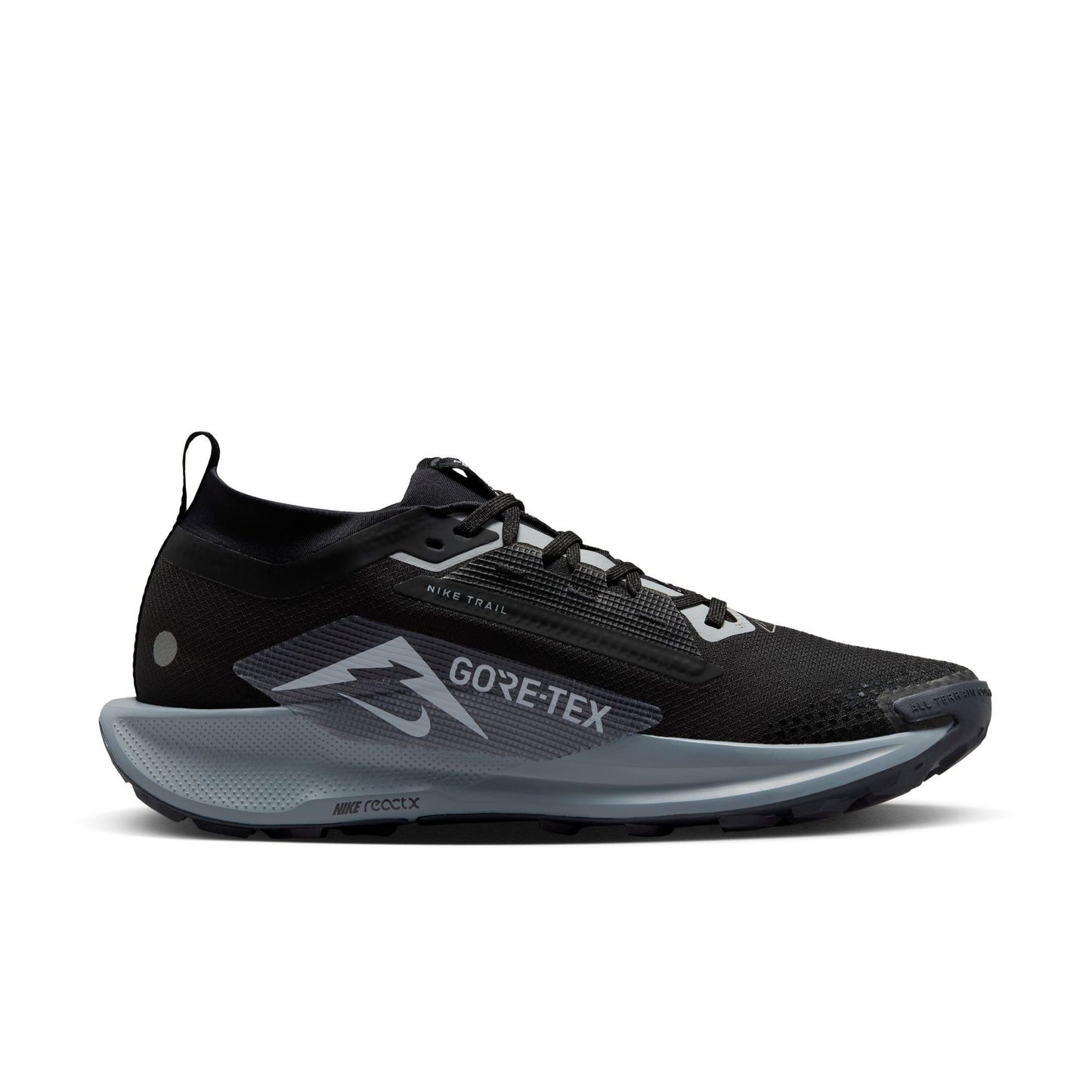 Nike Pegasus Trail 5 GORE-TEX FQ0908-001