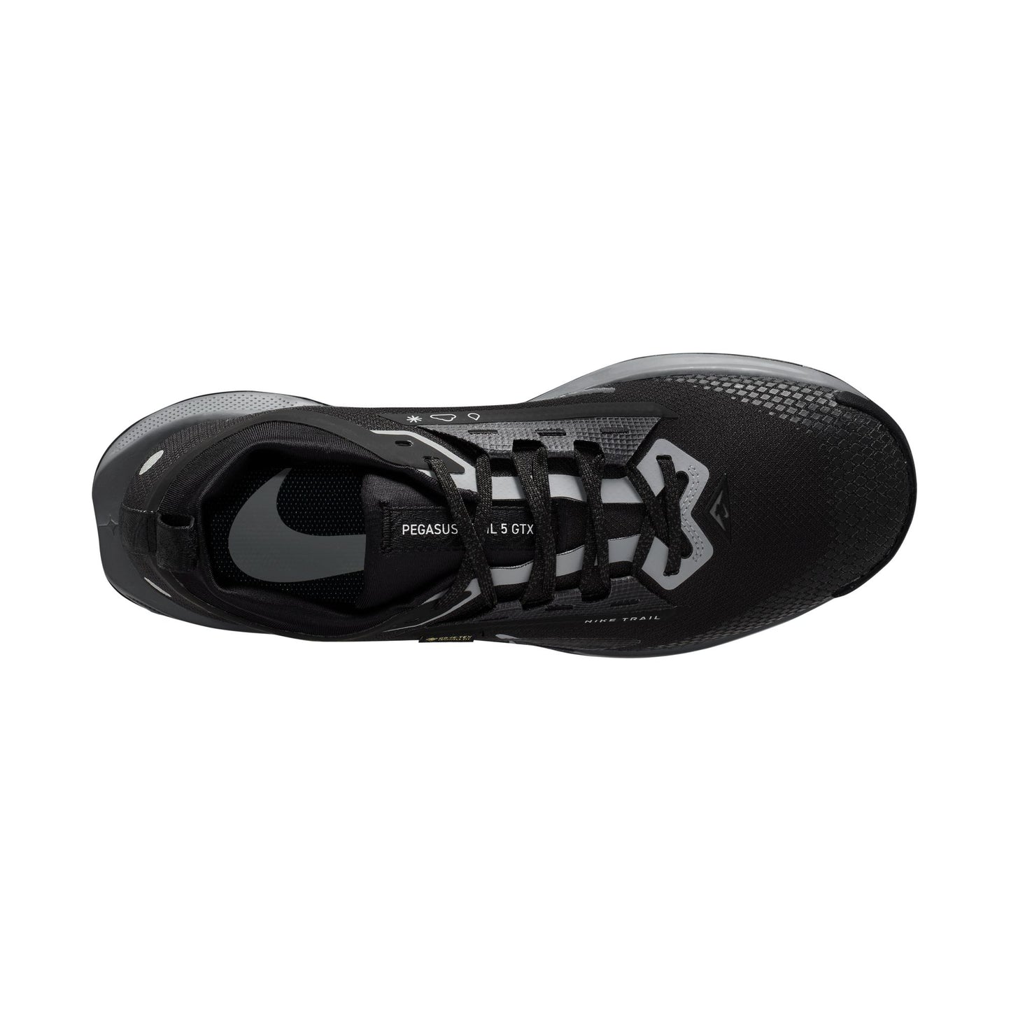 Nike Pegasus Trail 5 GORE-TEX FQ0908-001