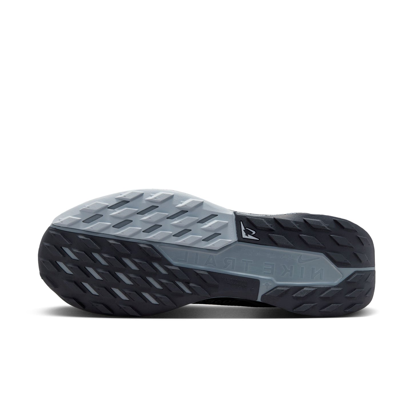 Nike Pegasus Trail 5 GORE-TEX FQ0908-001