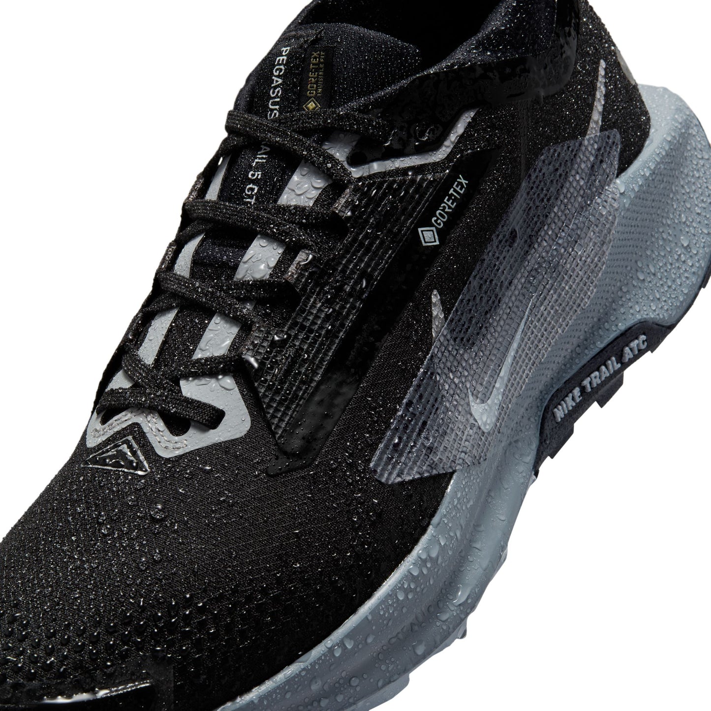 Nike Pegasus Trail 5 GORE-TEX FQ0908-001
