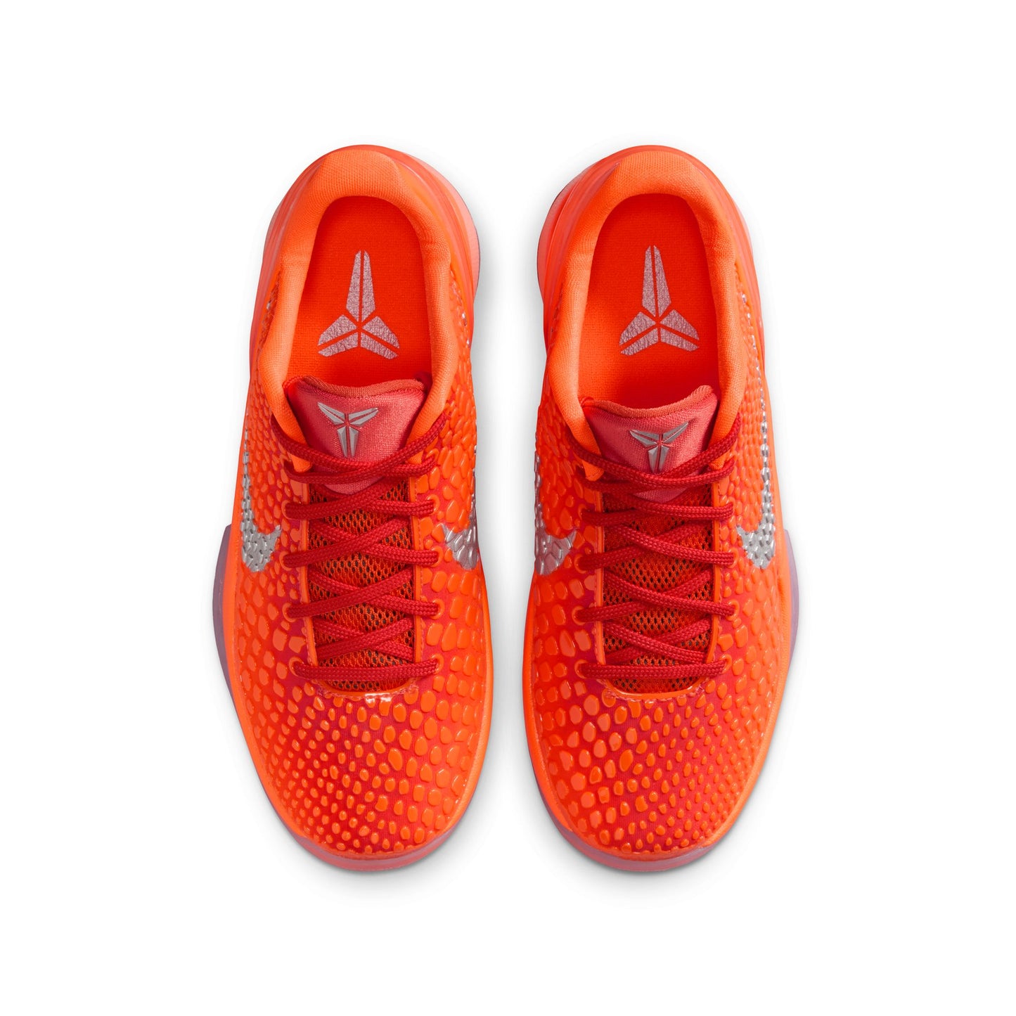Kobe VI FV9676-800