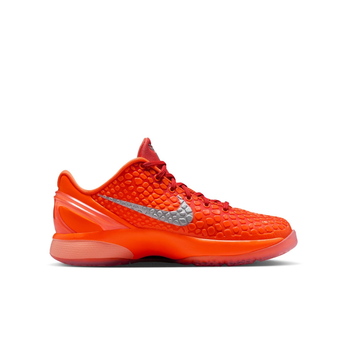 Kobe VI FV9676-800