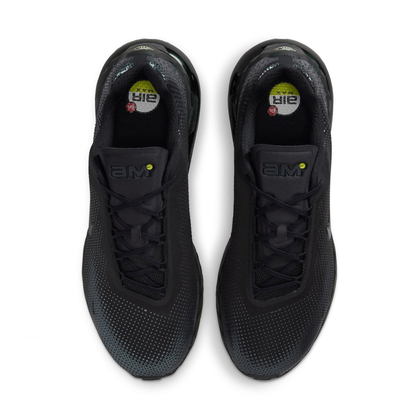 Nike Air Max Phoenix FZ5307-004