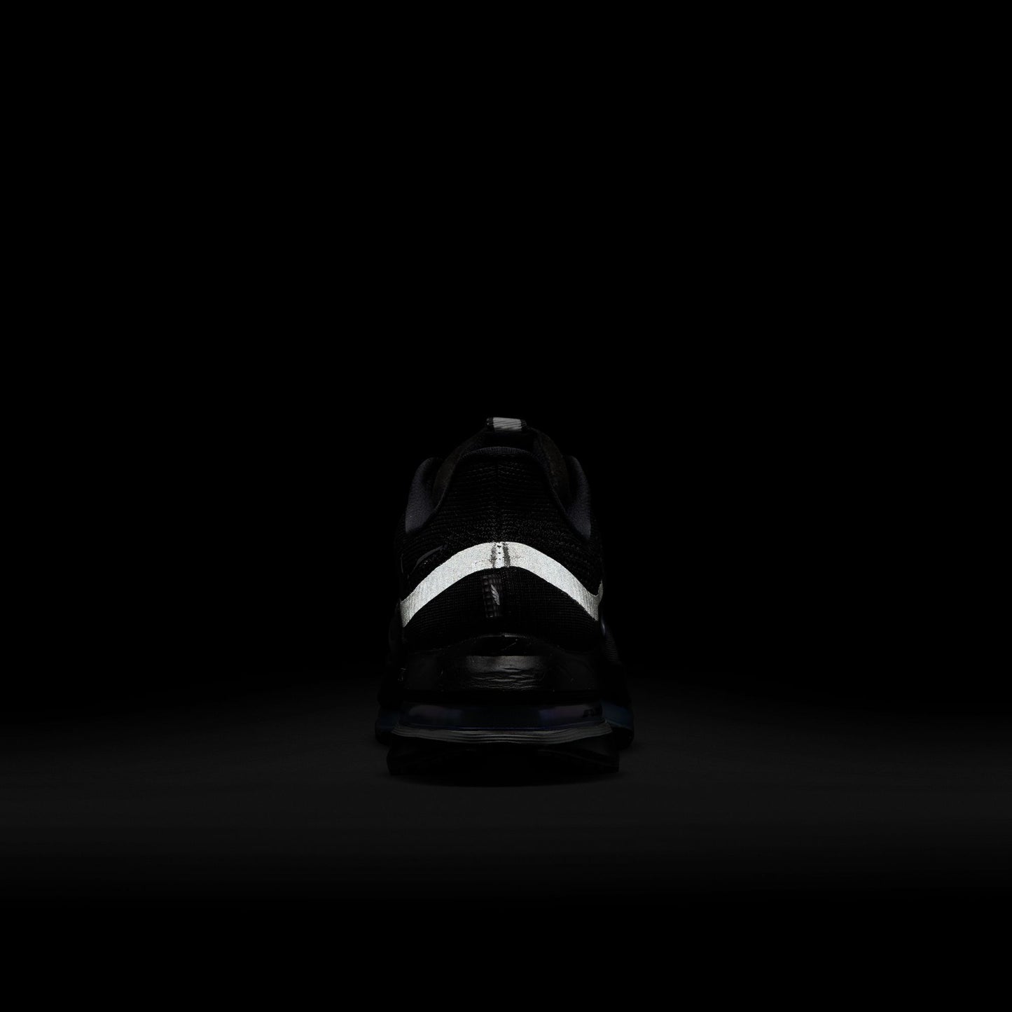 Nike Pegasus Premium HQ2593-004