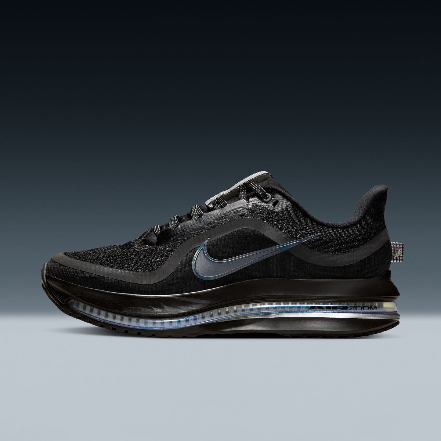 Nike Pegasus Premium HQ2593-004