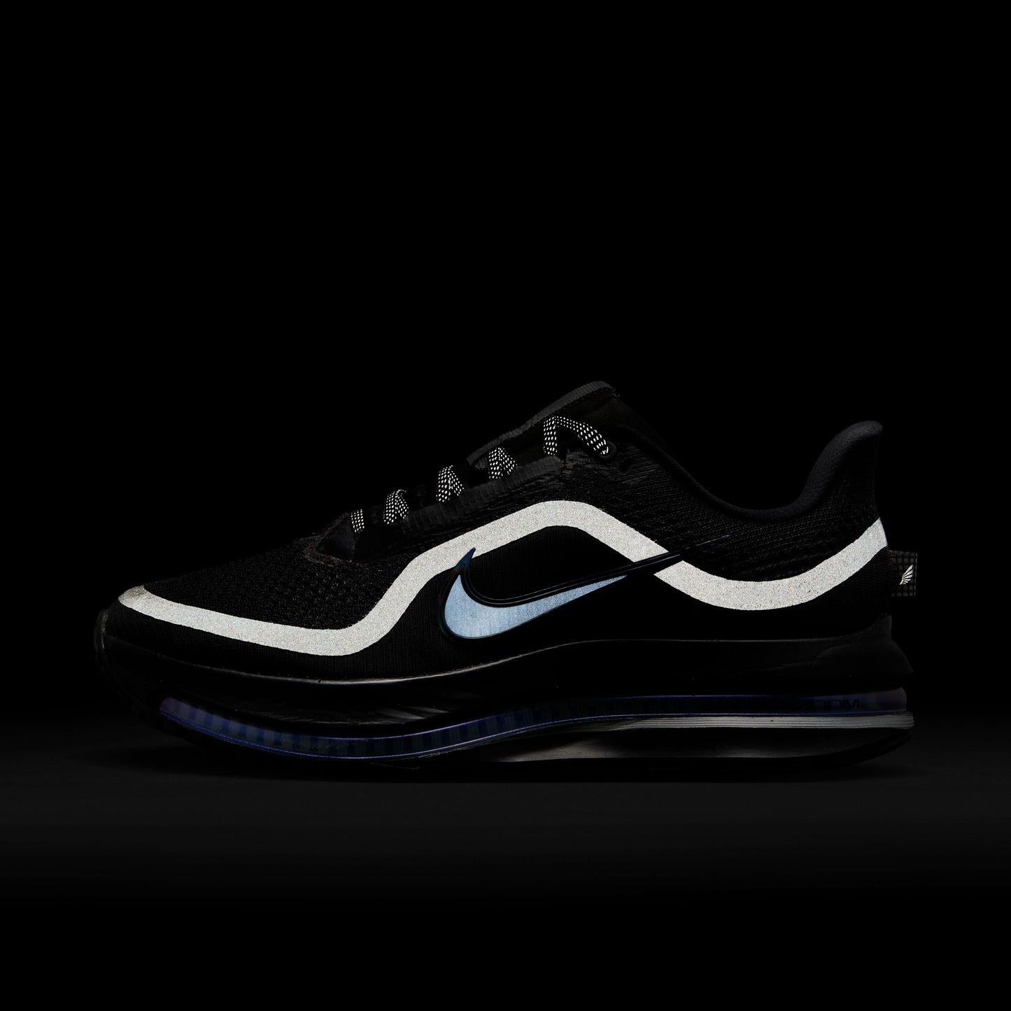 Nike Pegasus Premium HQ2593-004