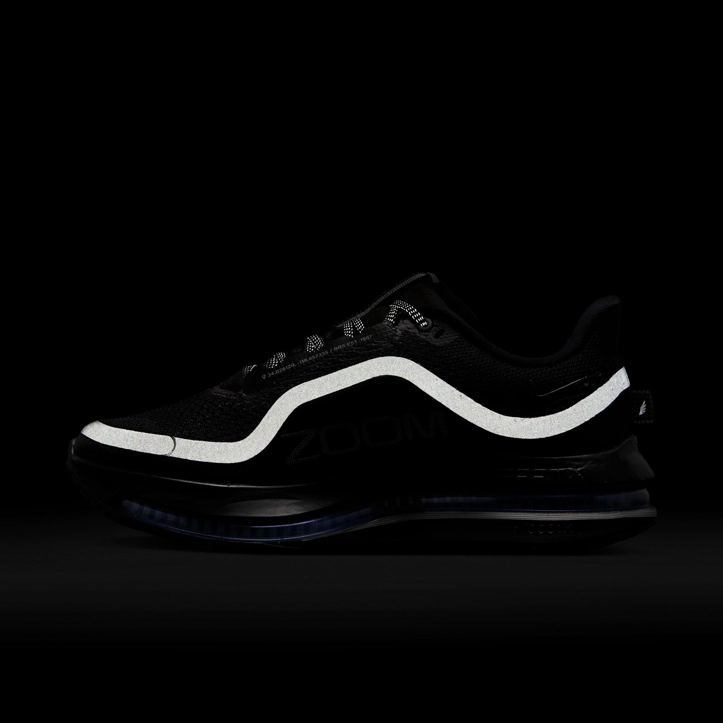 Nike Pegasus Premium HQ2593-004