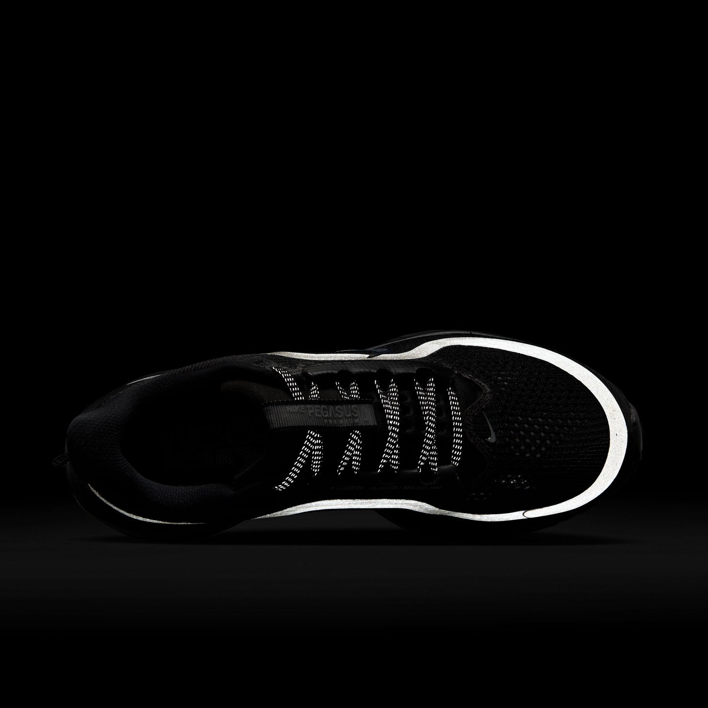Nike Pegasus Premium HQ2593-004