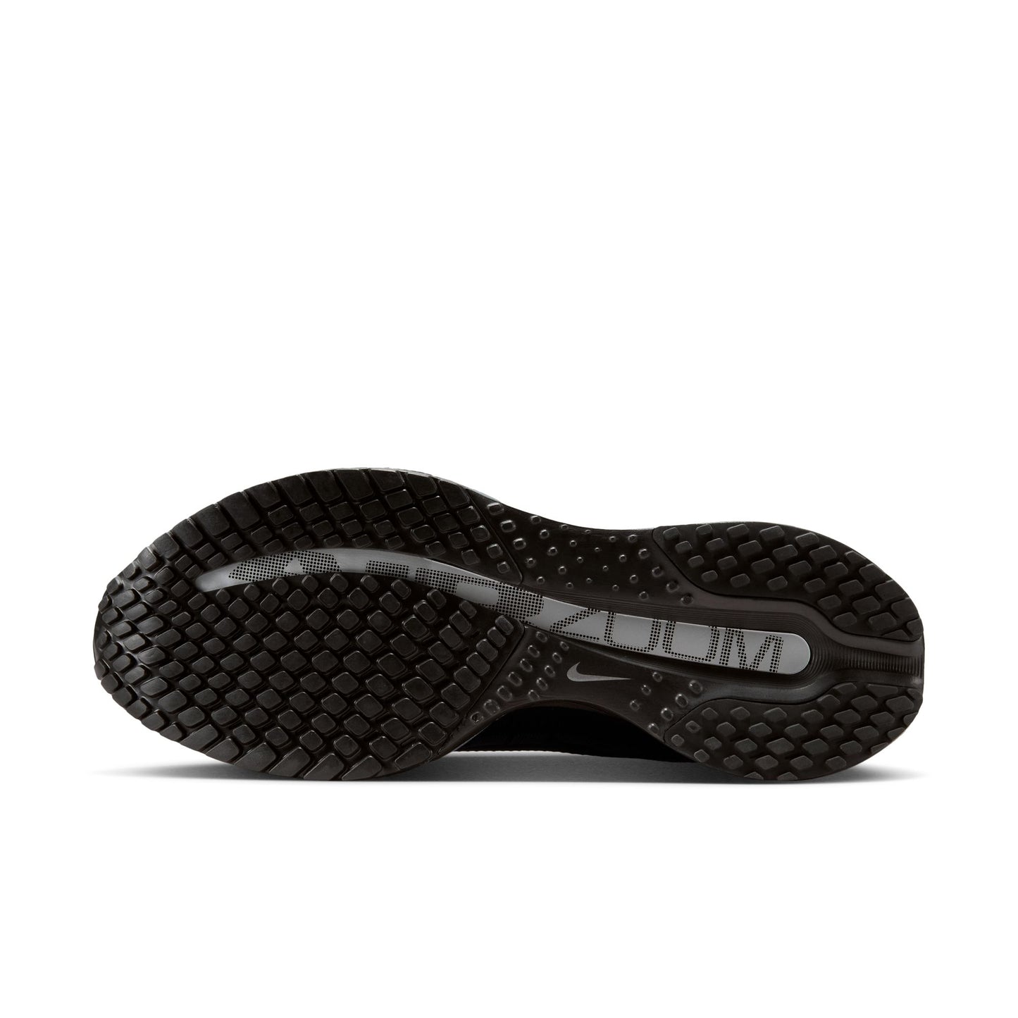 Nike Pegasus Premium HQ2593-004
