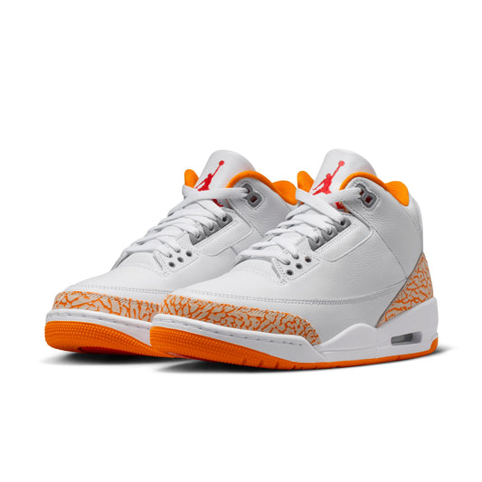 Air Jordan 3 Retro CK9246-101