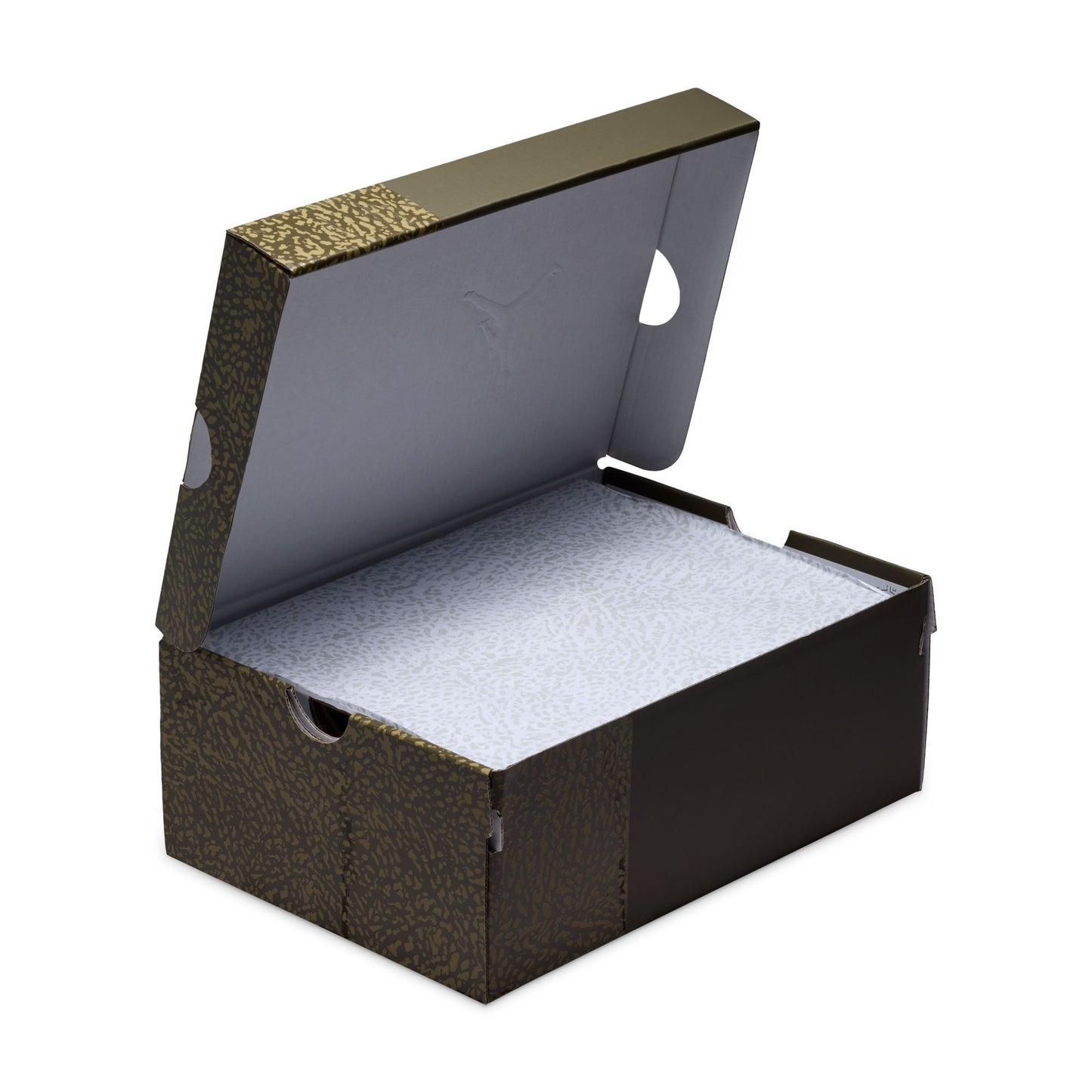 Air Jordan 3 Retro DM0967-202