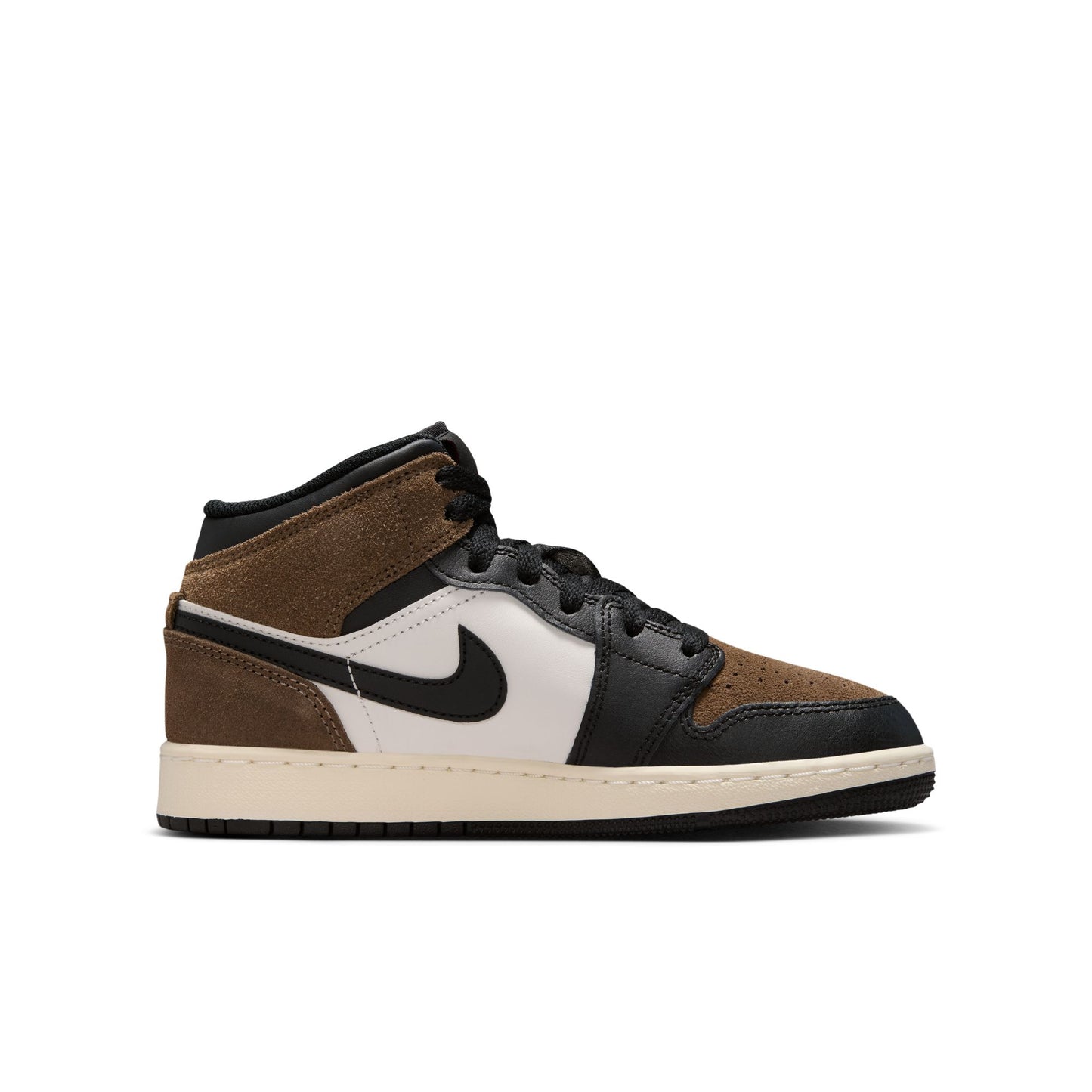 Air Jordan 1 Mid DQ8423-007