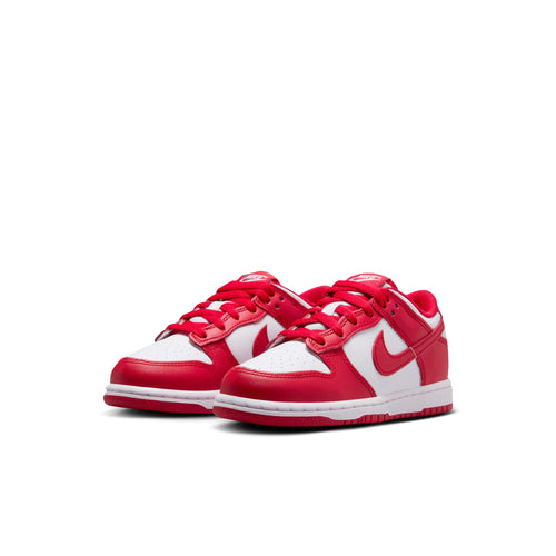 Nike Dunk Low FB9108-119