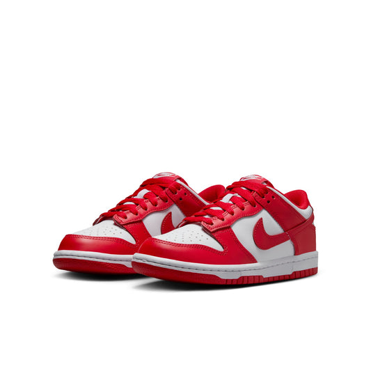 Nike Dunk Low FB9109-119