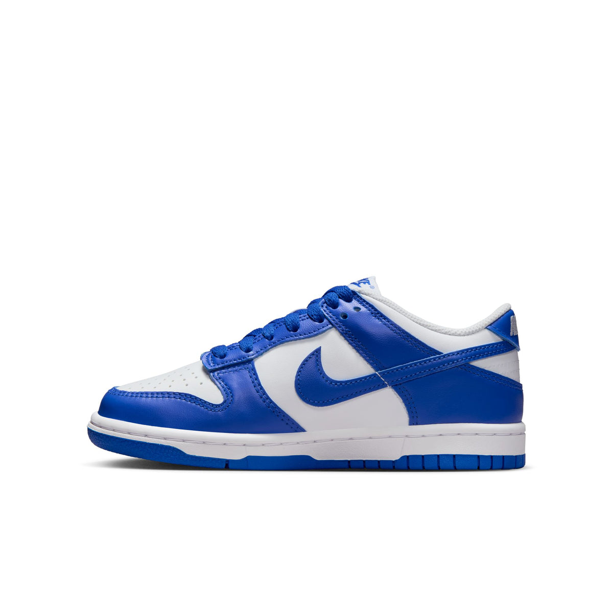 Nike Dunk Low FB9109-131