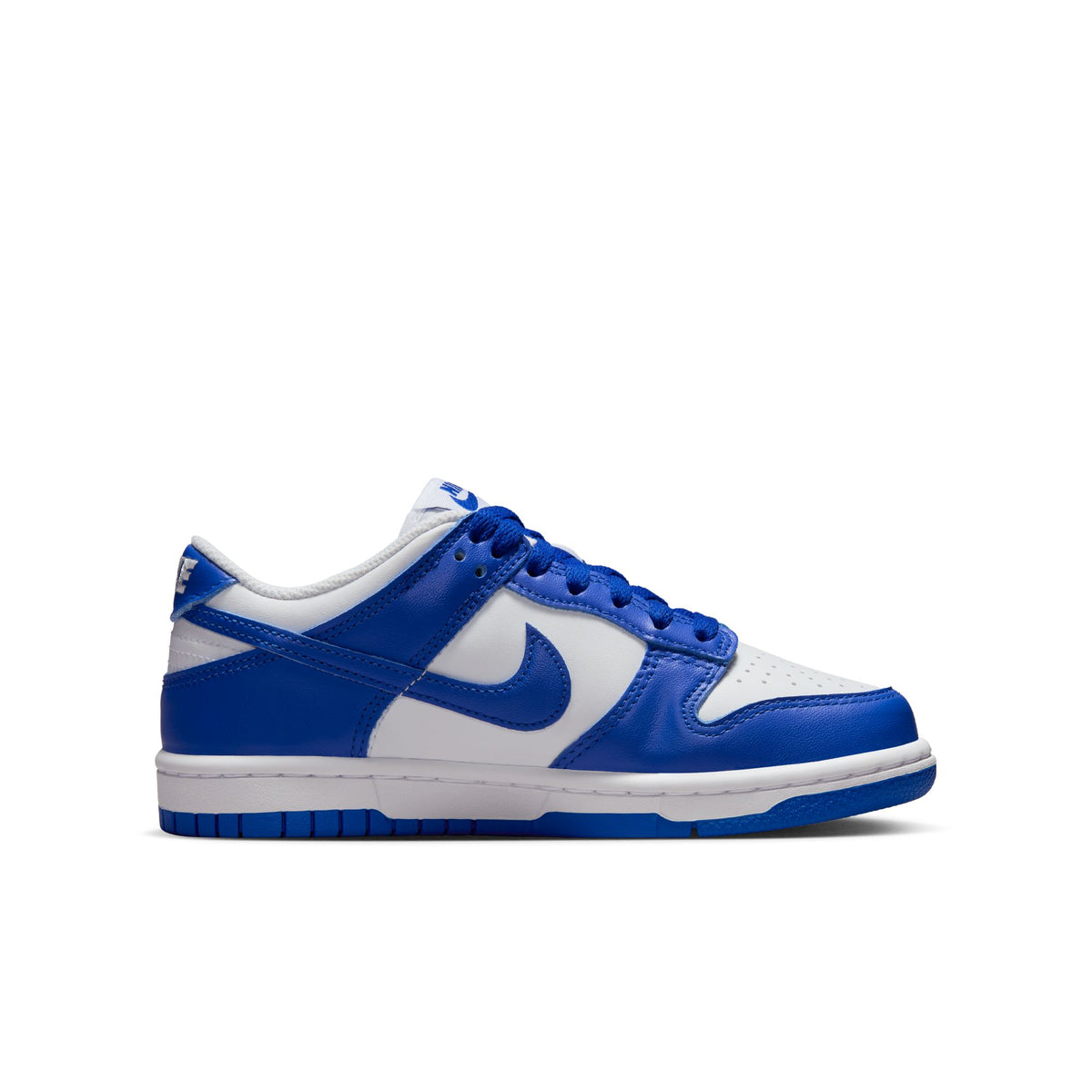 Nike Dunk Low FB9109-131