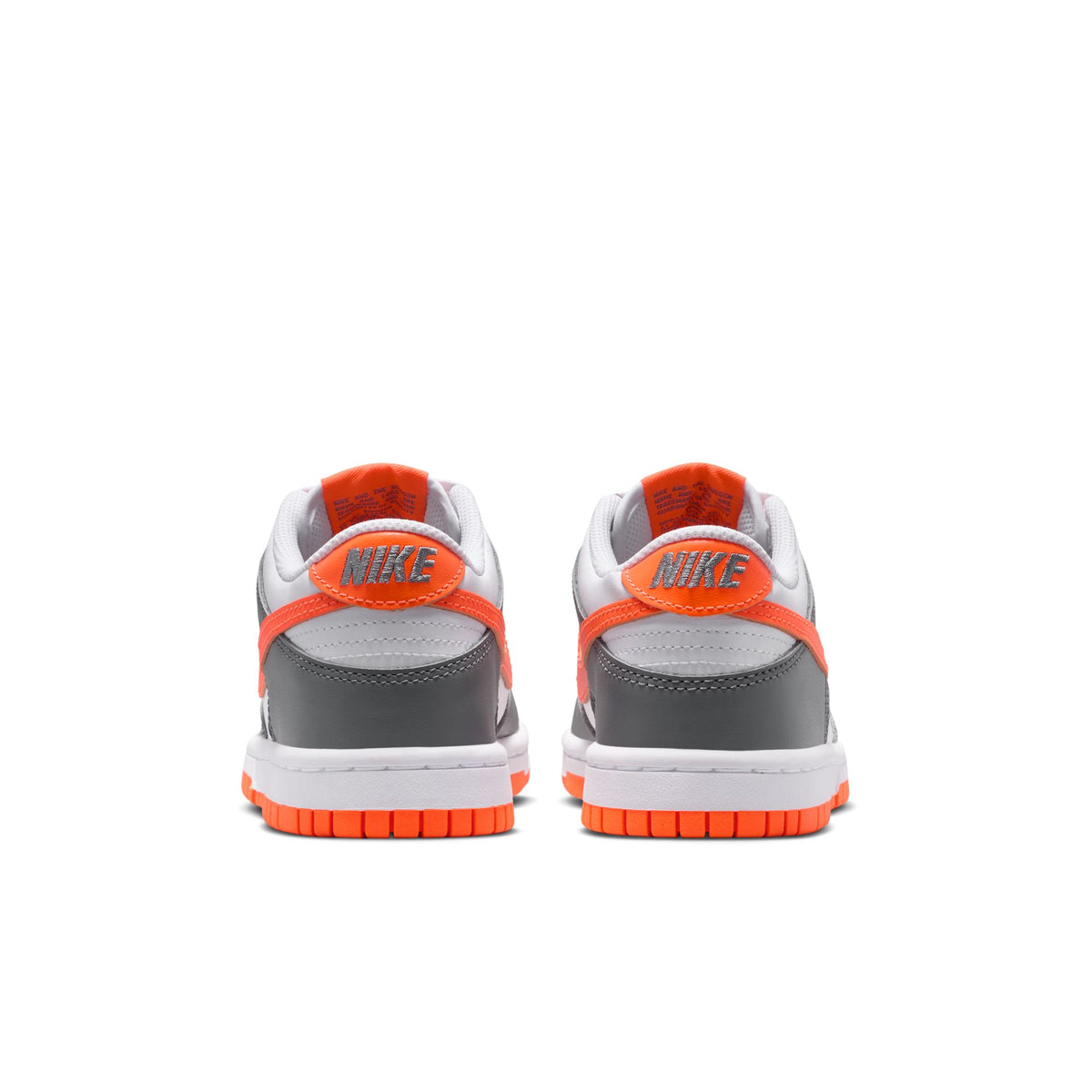 Nike Dunk Low FB9109-132