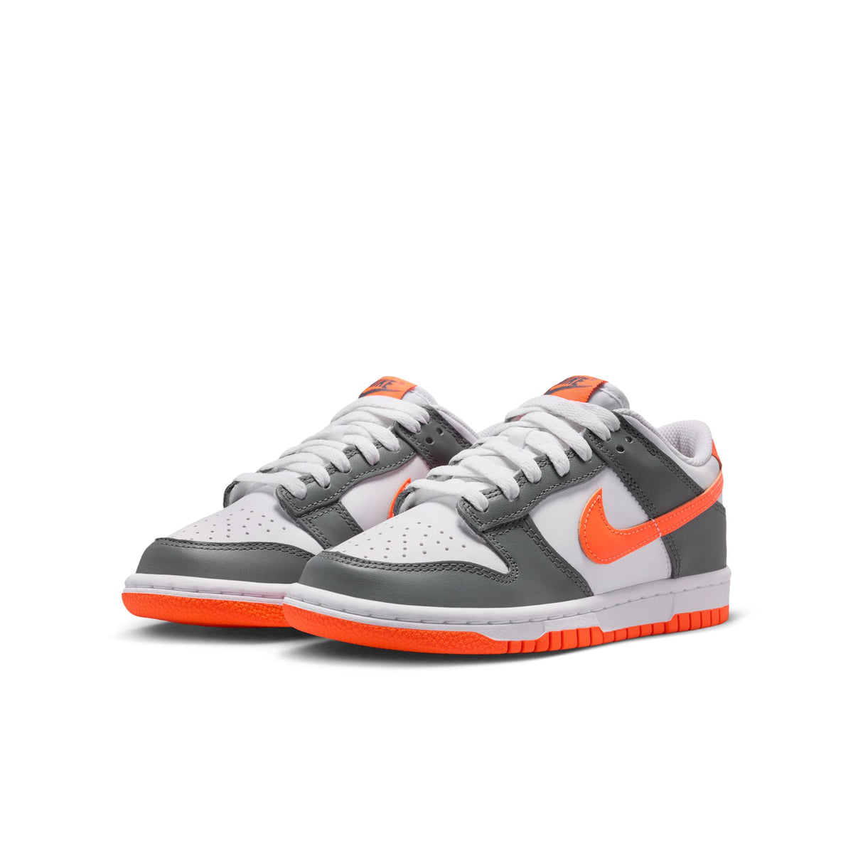Nike Dunk Low FB9109-132