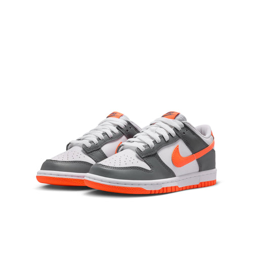 Nike Dunk Low FB9109-132