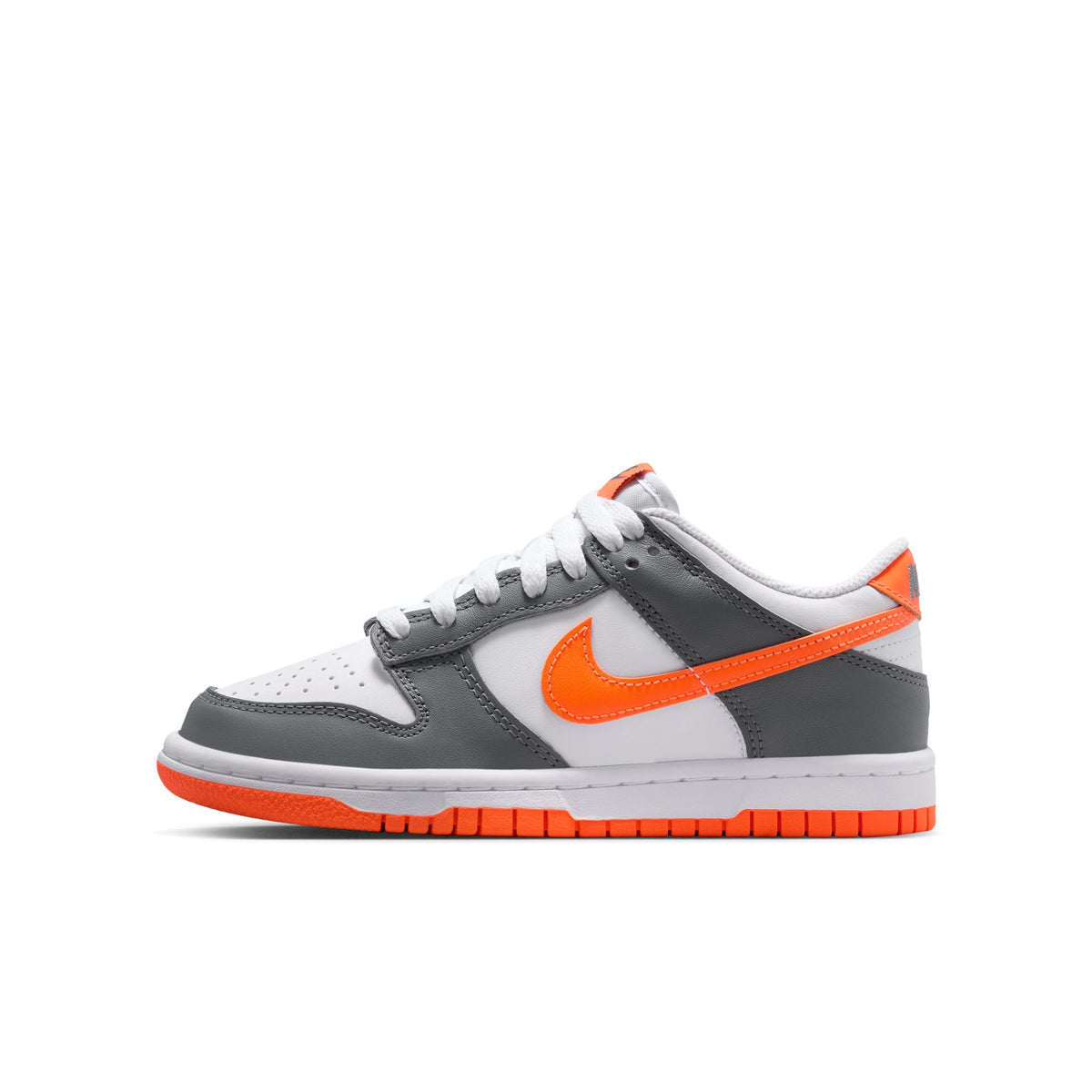 Nike Dunk Low FB9109-132