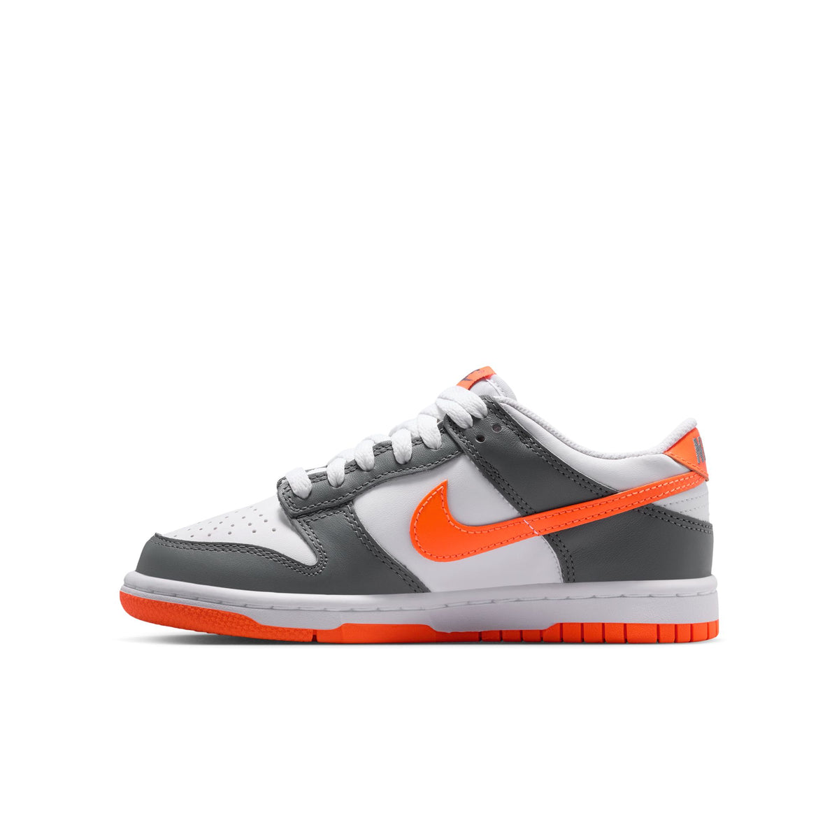 Nike Dunk Low FB9109-132