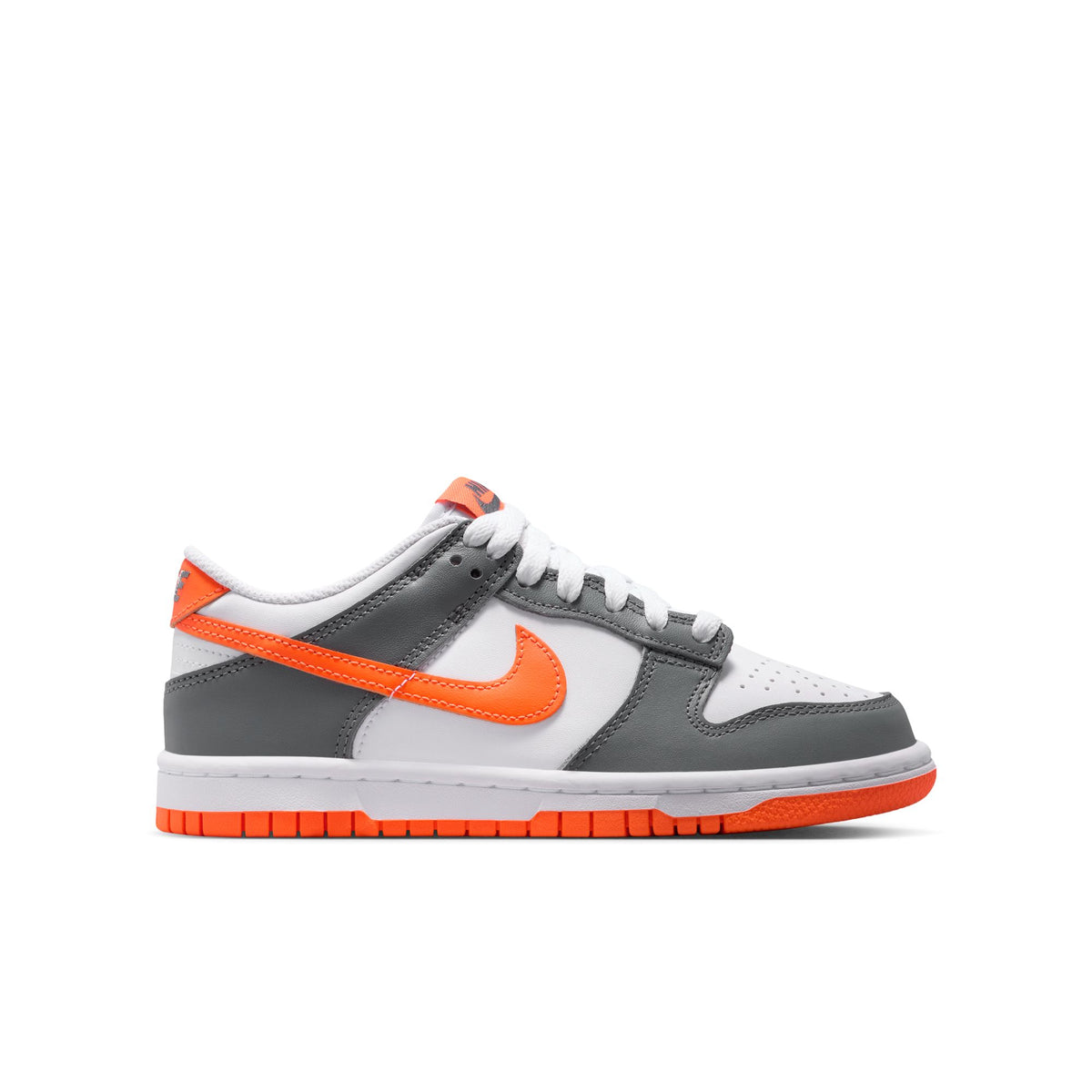 Nike Dunk Low FB9109-132