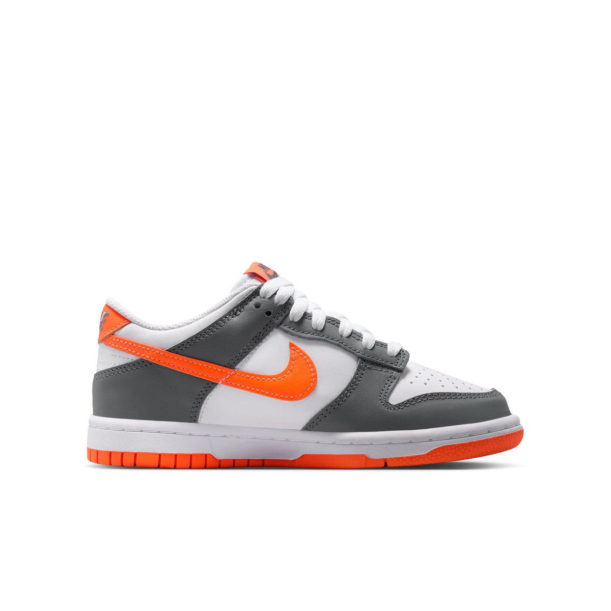 Nike Dunk Low FB9109-132