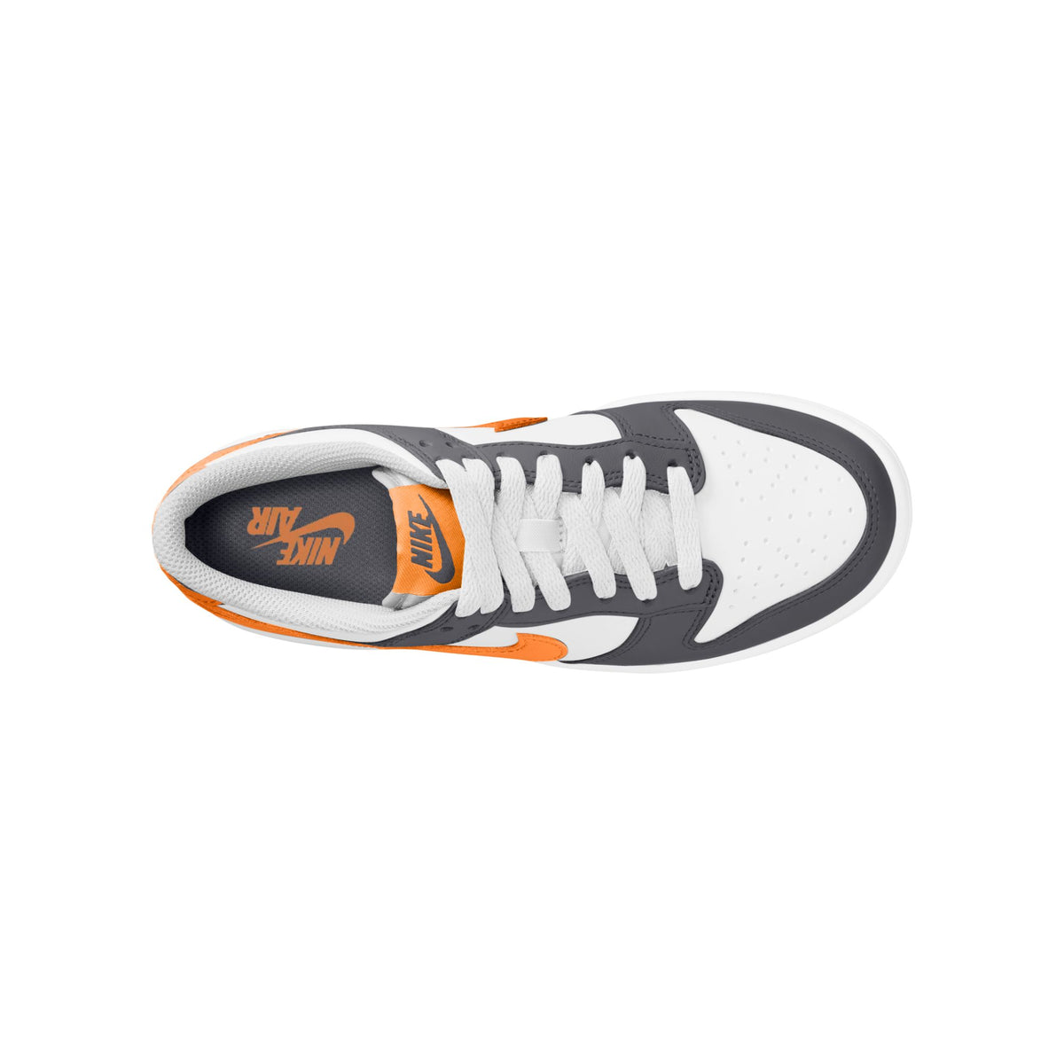 Nike Dunk Low FB9109-132