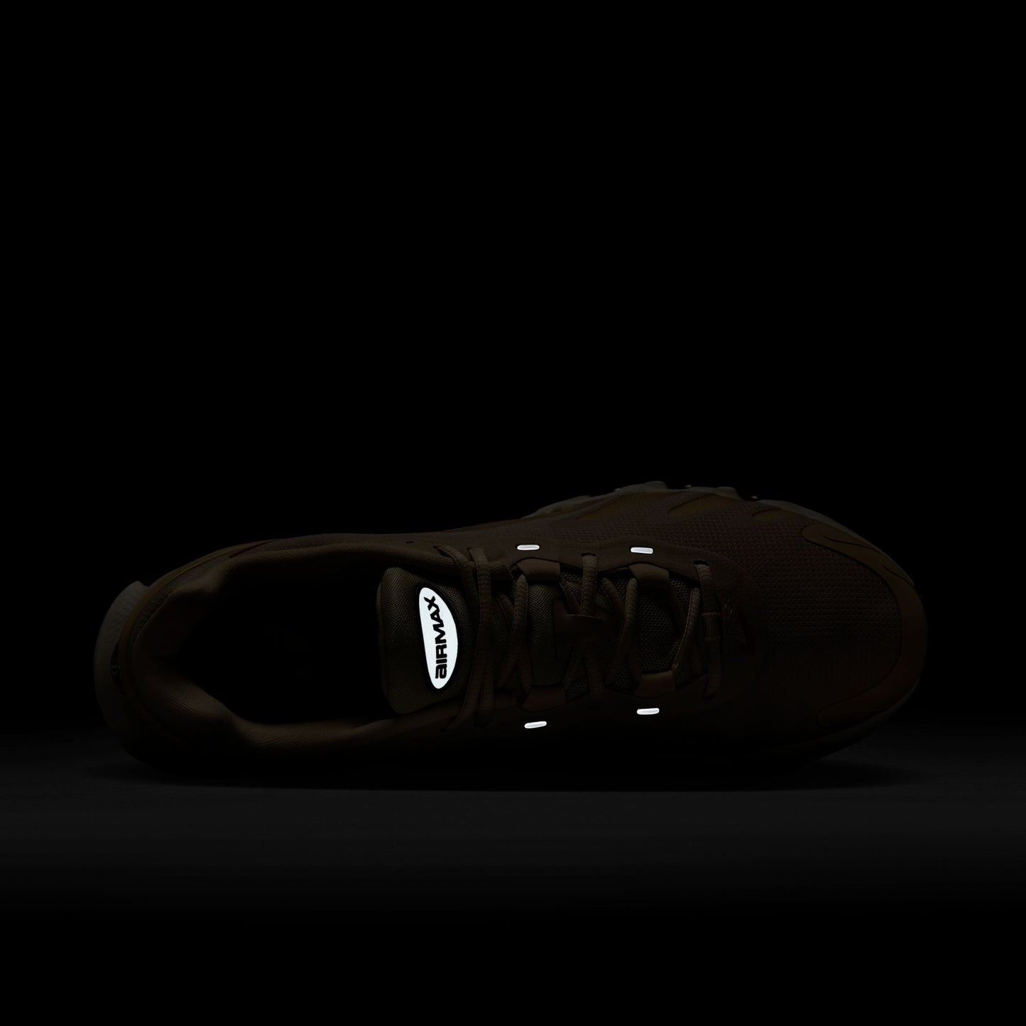 NIKE AIR MAX DN8 FQ7860-204