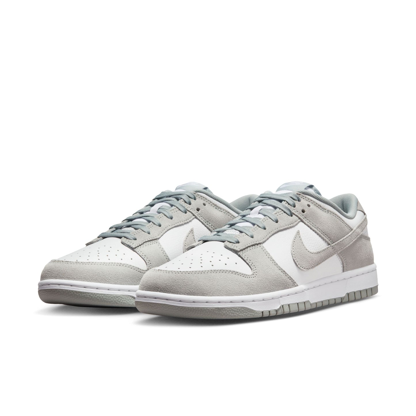 Nike Dunk Low Retro SE Leather/Suede FQ8249-101