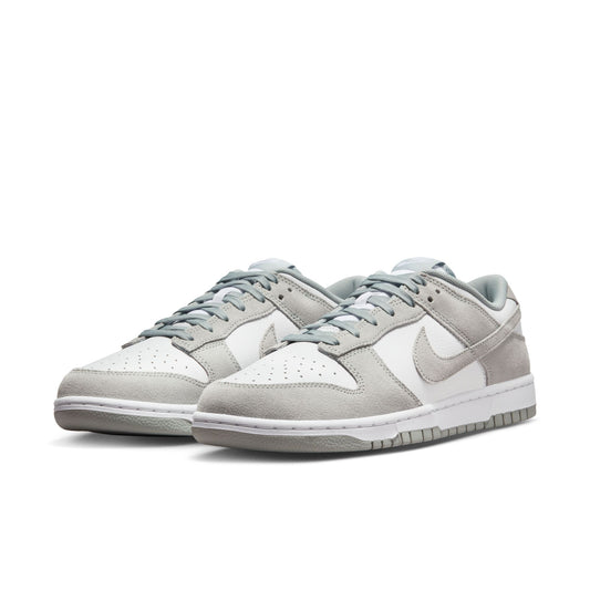 Nike Dunk Low Retro SE Leather/Suede FQ8249-101