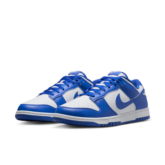 Nike Dunk Low Retro HF5441-112