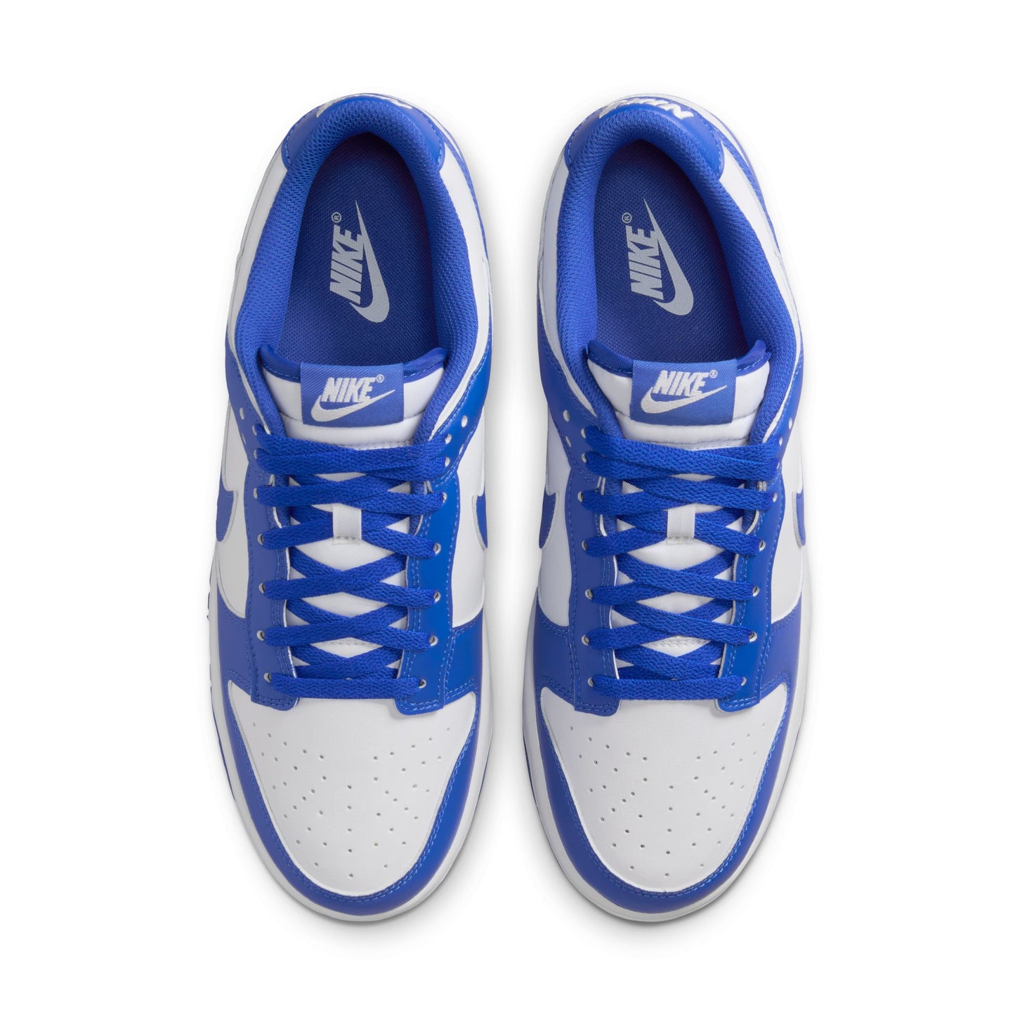 Nike Dunk Low Retro HF5441-112