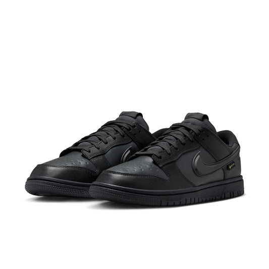 Nike Dunk Low GORE-TEX HQ2053-001