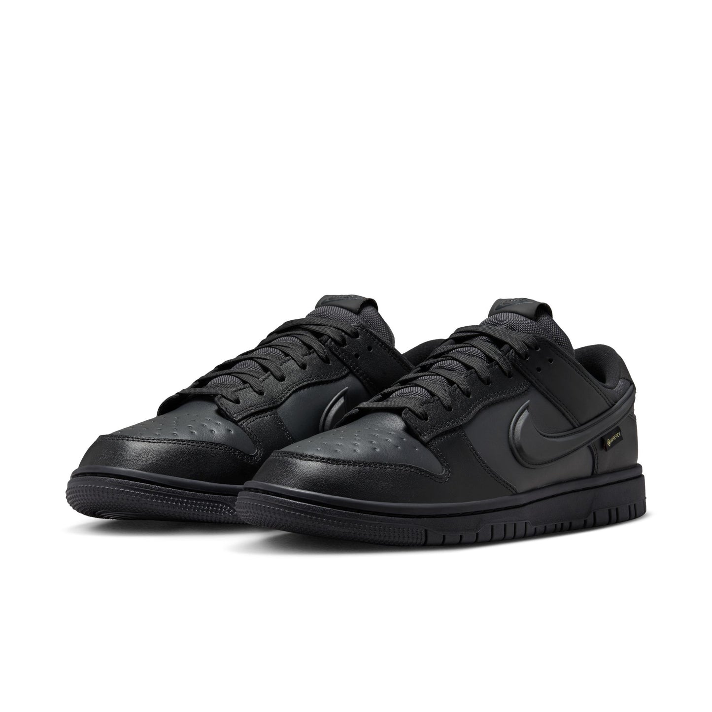 Nike Dunk Low GORE-TEX HQ2053-001