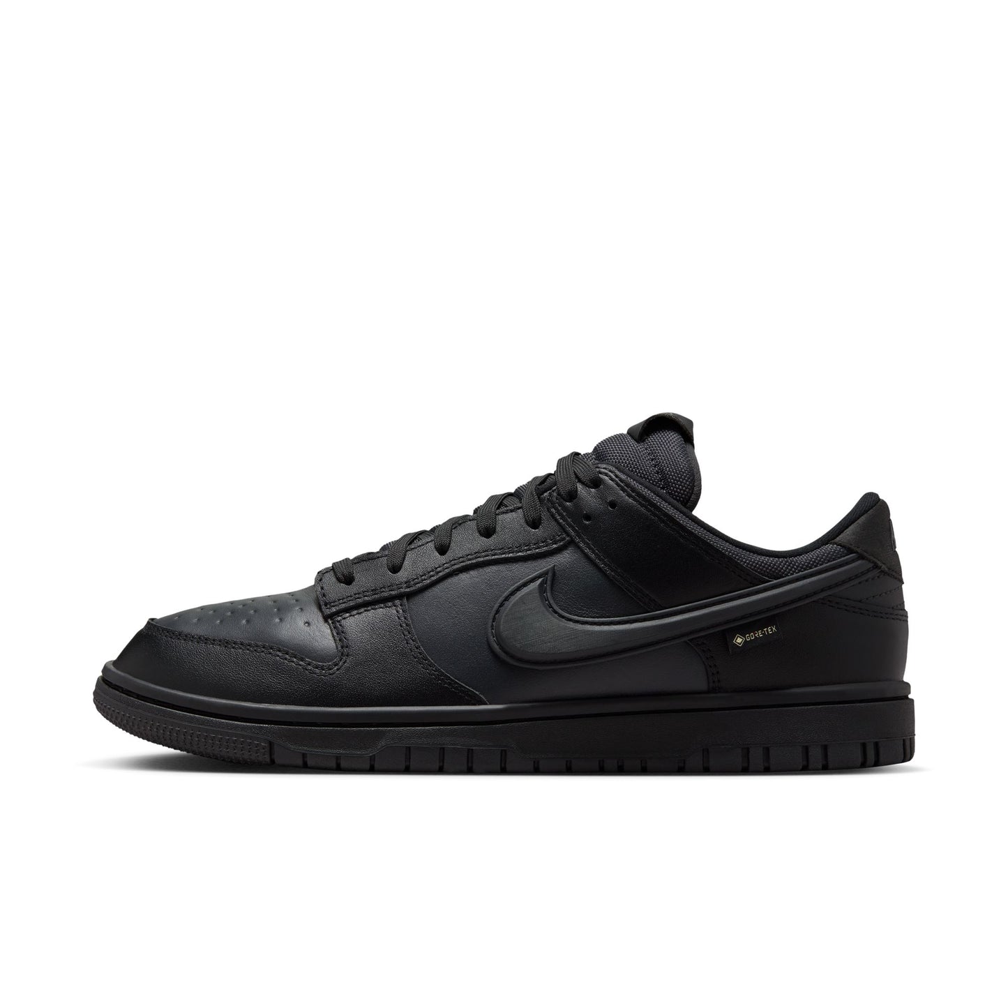 Nike Dunk Low GORE-TEX HQ2053-001