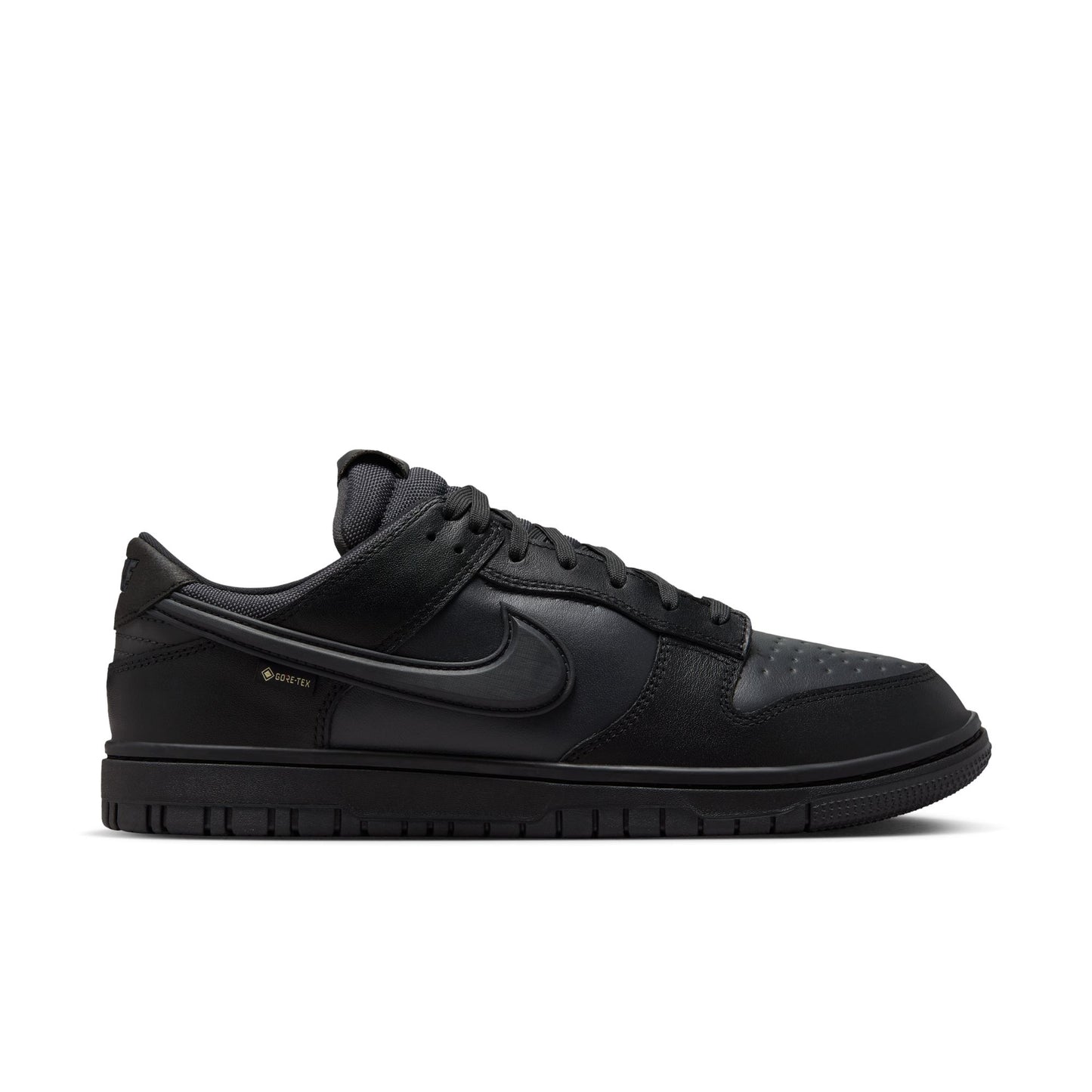 Nike Dunk Low GORE-TEX HQ2053-001