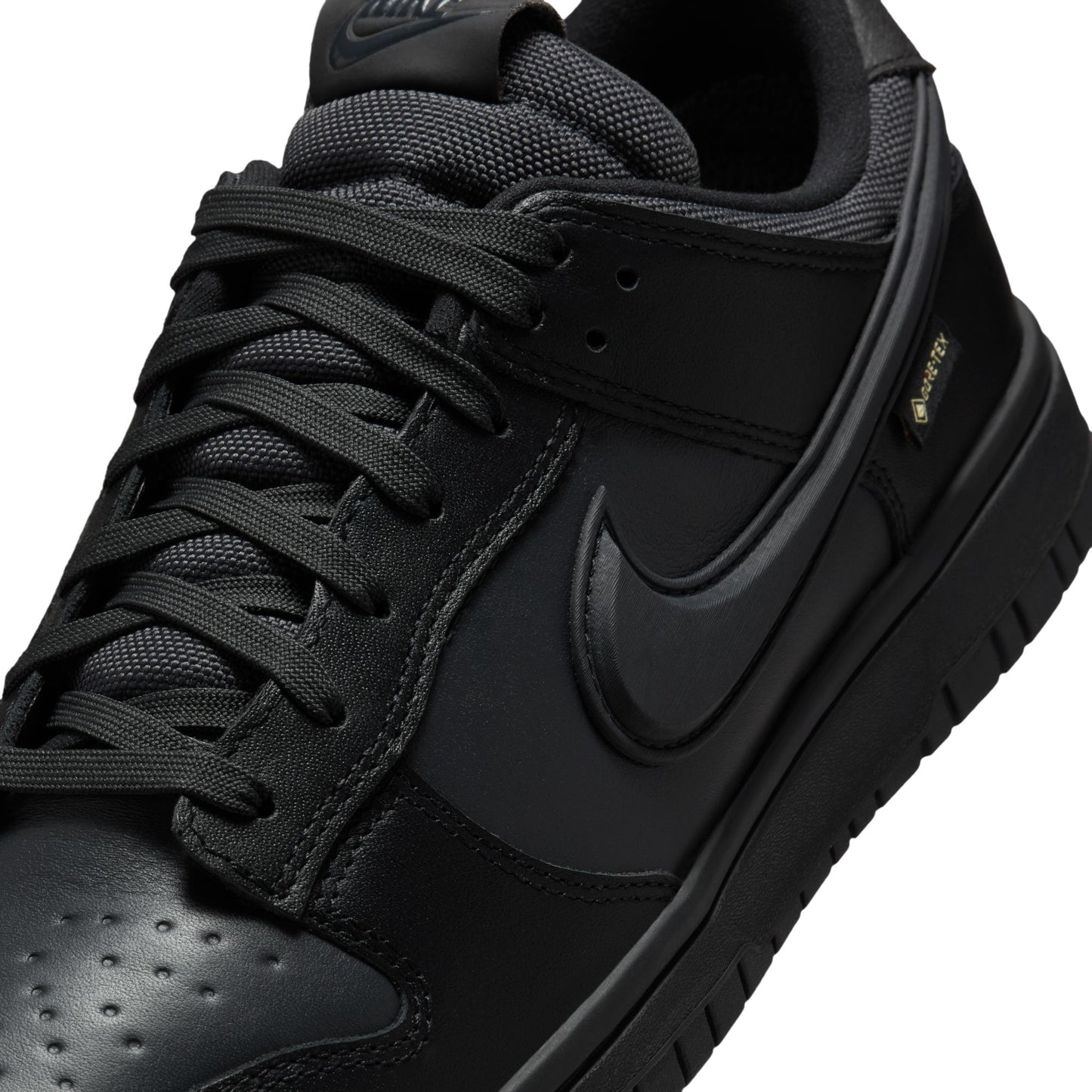 Nike Dunk Low GORE-TEX HQ2053-001